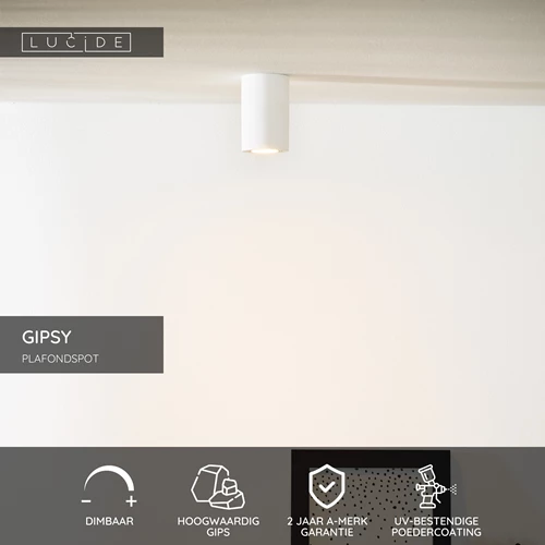 Lucide GIPSY - Plafondspot - Ø 7 cm - 1xGU10 - Wit - USP